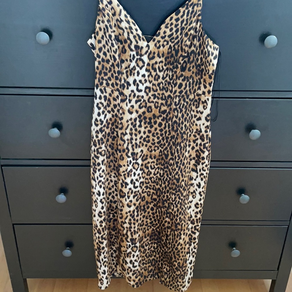 Leopard print Express dress